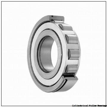 75 mm x 160 mm x 55 mm  NKE NU2315-E-M6 cylindrical roller bearings