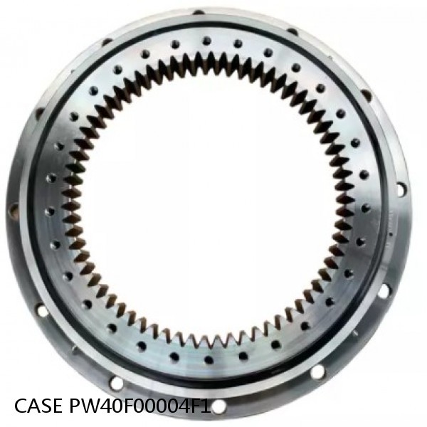 PW40F00004F1 CASE Turntable bearings for CX31B