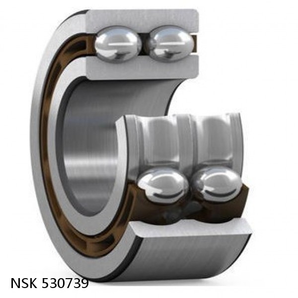 530739 NSK Double row double row bearings