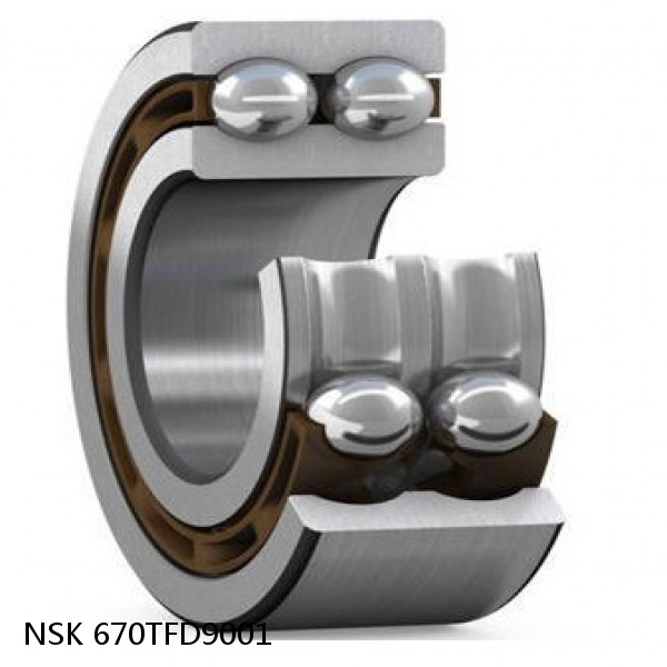 670TFD9001 NSK Double row double row bearings