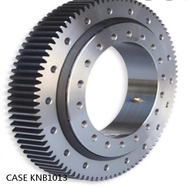 KNB1013 CASE SLEWING RING for CX130 #1 image