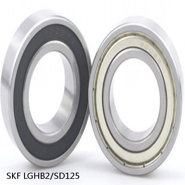 LGHB2/SD125 SKF Bearings Grease #1 image