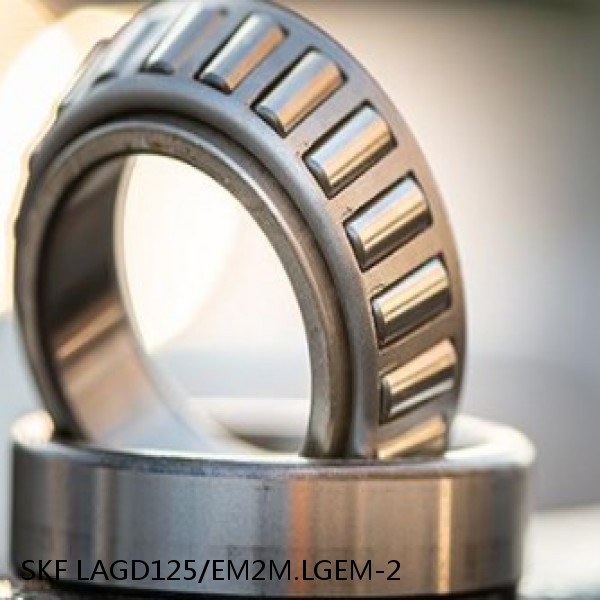 LAGD125/EM2M.LGEM-2 SKF Bearings Grease #1 image