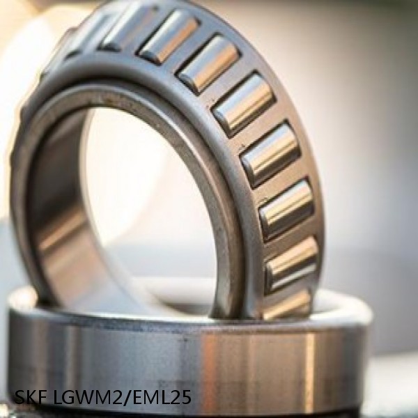 LGWM2/EML25 SKF Bearings Grease #1 image